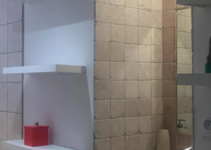 Les Tilleuls Nimois Apartment Nimes